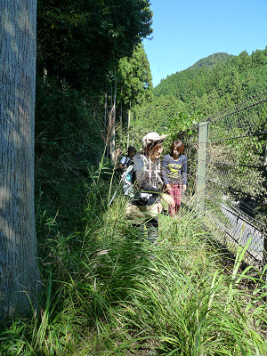 伊勢本街道 自明〜山粕 20120928