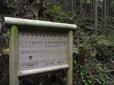 いるのかなぁ…
