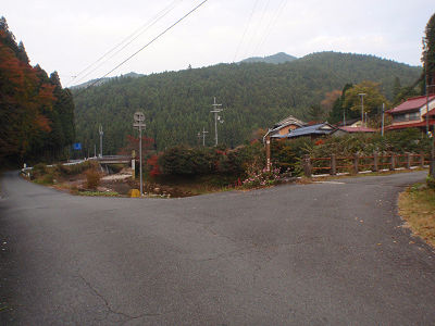 わかれ道